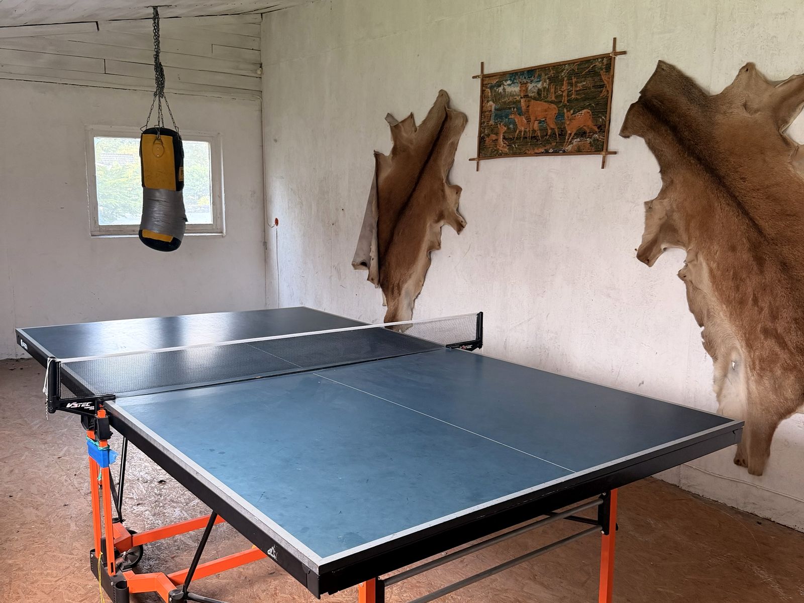 Bordtennisbord og boksesekk